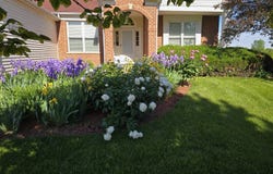 11819 Wolf Creek Lane, Plainfield, IL 60585