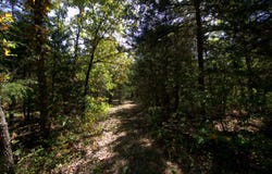 Tract 1&2 Simpson Rd, Urbana, MO 65767