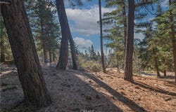 0 Cobblestone, Running Springs, CA 92382