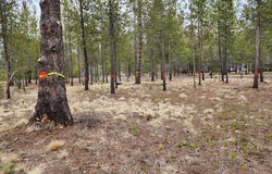 57626 CULTUS Ln, Sunriver, OR 97707