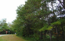 Baraboo Street lot: 1, Merrimac, WI 53561