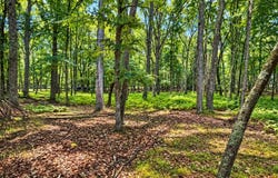 293 Red Rock Circle, Hawley, PA 18428