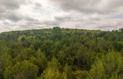 4 Little Woods Road, Elizabeth, AR 72531