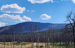 529 Quartz Rd, Bellvue, CO 80512