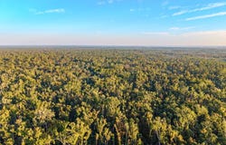 SW 550th St, Horseshoe Beach, FL 32648
