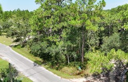 Dickson Bay Road, Panacea, FL 32346