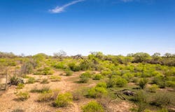 4246 Rakowitz Rd, Adkins, TX 78101