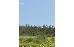 1221 Highway 65, Braham, MN 55006