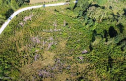 Sinclair Road, Columbia, MS 39429