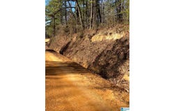 688 COUNTY ROAD 230, CLANTON, AL 35171