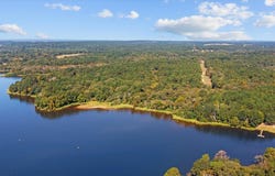PARCEL #41325 CR 2170, Grapeland, TX 75844