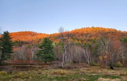 2153 Route 2, Charlemont, MA 01339