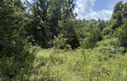 Ranch Road, Willow Springs, MO 65793