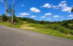 Plana, Isabela, PR 00662