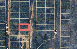 Redwood Dr, Harleton, TX 75651