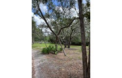 1210 NE Hwy 51, Steinhatchee, FL 32359