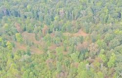 Kulp Road, Y City, AR 72926