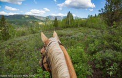 7675 US-89, Jackson, WY 83001