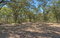6.754 County Road 473, Lott, TX 76656