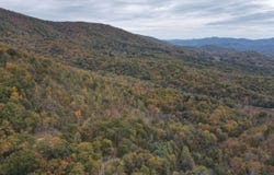 0 Mount Horeb Road, Amherst, VA 24521