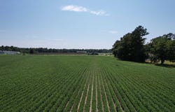 Sumter Hwy. lot: 3 -, Kingstree, SC 29556