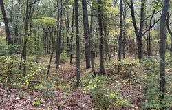 4051 Highview Path, Coloma, MI 49038