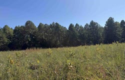 350 Gorby Road, Calico Rock, AR 72519