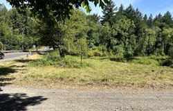NE 221St Ave, Amboy, WA 98601