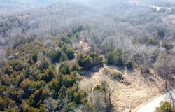 E Cedar Tree Ln., Tract 5, Hartsburg, MO 65039