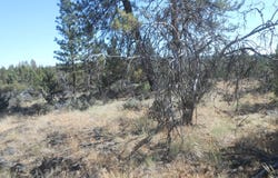 Ground Squirrel Drive, Bonanza, OR 97623