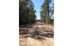 Old Dixie Hwy, Springfield, GA 31329
