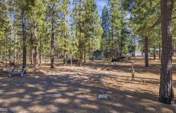 50874 Deer Forest Drive, La Pine, OR 97739