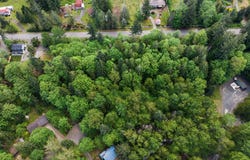 E BRIGHTWOOD LOOP Rd, Brightwood, OR 97011