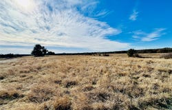 8655 CR 452, Cross Plains, TX 76443