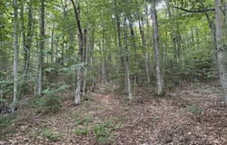45 Buckboard Drive, Dover, VT 05356
