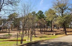 22540 C R 1174, Bullard, TX 75757