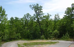 21 Silver Spur Court, Camdenton, MO 65020