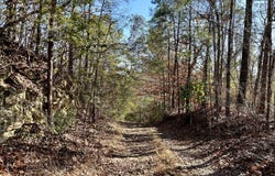 Ararat Rd Tract B, Toxey, AL 36921