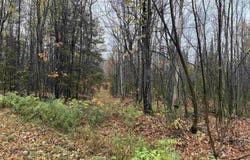 State 77 Highway, Iron Belt V-WI, WI 54534