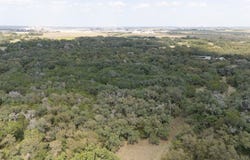 CR 239 Rd, Jarrell, TX 76537