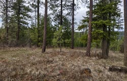 Lyons Hill Rd, Springdale, WA 99173
