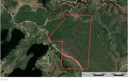 BOGUS Road, DEERBROOK, WI 54424