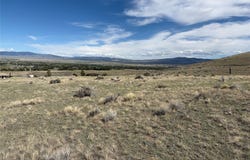 Gamblers Run, Dillon, MT 59725