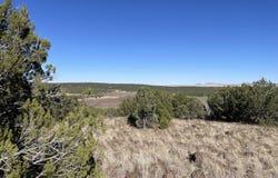 12 County Road, Concho, AZ 85924