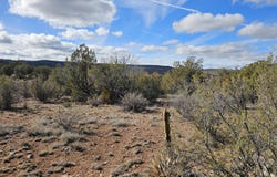 30022 W Amalia Road, Seligman, AZ 86337