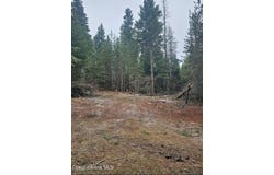 821 Willow Loop Rd, Fernwood, ID 83830