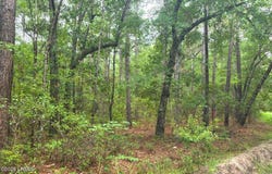 Wade Hampton Road, Hampton, SC 29924