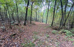 NC 8147, Jasper, AR 72641