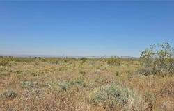 175th St E W10, Llano, CA 93591