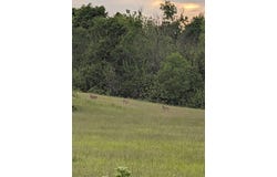 S Linebarger, Fairview, MO 64842